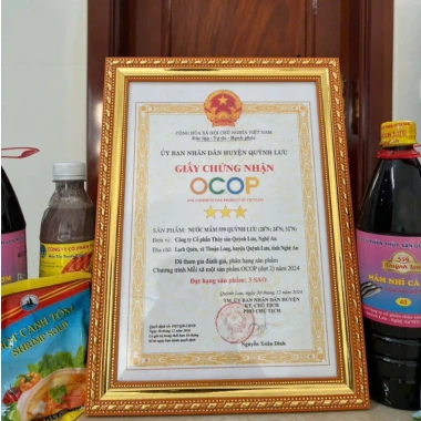 Combo 3 chai Nước Mắm Cá Cơm 559 Quỳnh Lưu 1.000ml - Nguyên chất, ủ 2 năm, nấu kho tiết kiệm, chỉ 36.000 VND