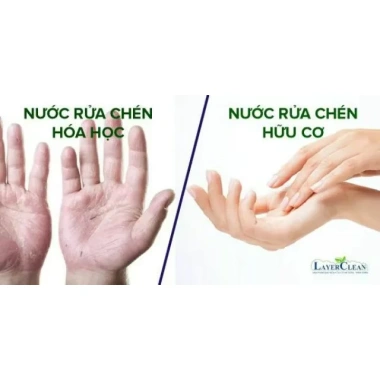 Combo 3 chai nước rửa chén bát Layer Clean 800ml hữu cơ mix mùi - Giá chỉ 120.000 VND