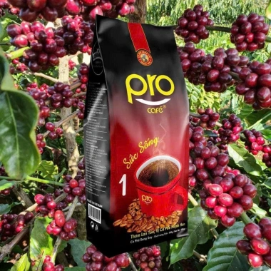 Combo 3 gói Cà phê chồn nâu rang xay 500gr Cao Cấp – Gu Mạnh – chỉ 229.000đ
