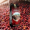 Combo 3 gói Cà phê chồn nâu rang xay 500gr Cao Cấp – Gu Mạnh – chỉ 229.000đ 7