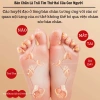 Combo 3 hộp 150 miếng dán Ngải Cứu Đông Y - Thải độc hỗ trợ bàn chân ngủ ngon, tăng tuần hoàn, thanh lọc cơ thể 53.780₫ 6