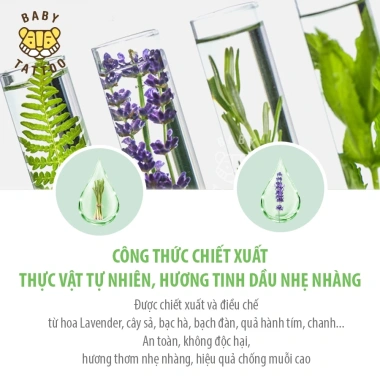 Combo 3 Hộp Miếng Dán Chống Muỗi Côn Trùng BABY TATTOO Hương Thảo Dược Nhẹ Nhàng - 24 miếng/hộp, giảm còn 550k VND