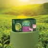 Combo 3 Hộp Trà Túi Lọc Cozy Đa Vị: Ô Long, Xanh, Nhài, Gừng, Hồng Trà, Sen, Đào và nhiều hương vị khác - Giá Ưu Đãi 2