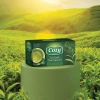 Combo 3 Hộp Trà Túi Lọc Cozy Đa Vị: Ô Long, Xanh, Nhài, Gừng, Hồng Trà, Sen, Đào và nhiều hương vị khác - Giá Ưu Đãi 3