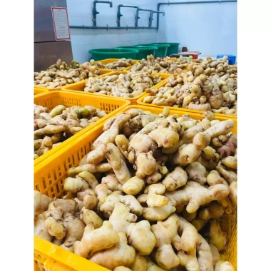 Combo 3 Hũ Mứt Gừng Viên QNA Farm 3 Vị Truyền Thống - Chanh Muối, Chanh Sả 95g 132k 9