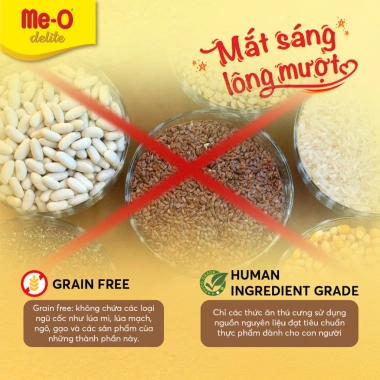 Combo 3 lon Me-O Delite Pate cá ngừ & sữa dê 80g – Tặng nón bảo hiểm, chỉ 94.500₫
