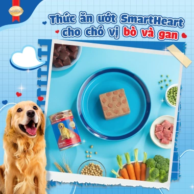 Combo 3 lon SmartHeart Pate 400gr cho chó tặng set nón và yếm - Giá 126.900đ 4