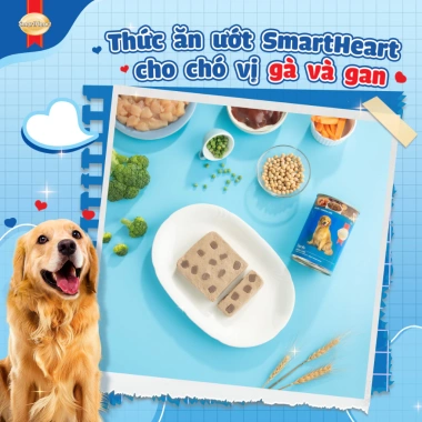 Combo 3 lon SmartHeart Pate 400gr cho chó tặng set nón và yếm - Giá 126.900đ 5