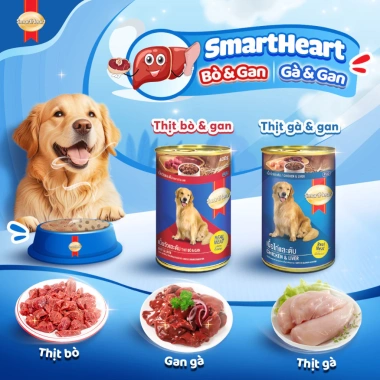 Combo 3 lon SmartHeart Pate 400gr cho chó tặng set nón và yếm - Giá 126.900đ 8