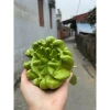 Combo 3 quả Phật Bày Mâm Ngũ Quả 300-500g - Hàng cao cấp, giá ưu đãi 225k 8