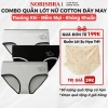 Combo 3 Quần Lót Nữ Cotton Gấu Cute, Quần Chip Cạp Vừa Đáy AMYBRA L903 - 90k
