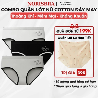 Combo 3 Quần Lót Nữ Cotton Gấu Cute, Quần Chip Cạp Vừa Đáy AMYBRA L903 - 90k
