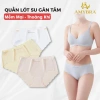 Combo 3 Quần Lót Nữ Su Viền Lượn Sóng Quyến Rũ - Set Chip Cạp Vừa Tôn Dáng AMYBRA L8.368 76k