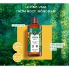 Combo 3 sữa tắm thiên nhiên Yves Rocher 400ml - hương hoa hồng, vani, dừa, da mềm 5