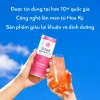 Combo 3 thùng 12 lon STAR KOMBUCHA mix vị Tết 250ml - Trà lên men hữu cơ, bảo vệ sức khỏe - Giá chỉ 999.000₫ 2