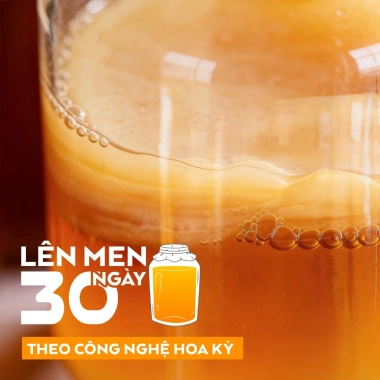 Combo 3 thùng 12 lon STAR KOMBUCHA mix vị Tết 250ml - Trà lên men hữu cơ, bảo vệ sức khỏe - Giá chỉ 999.000₫