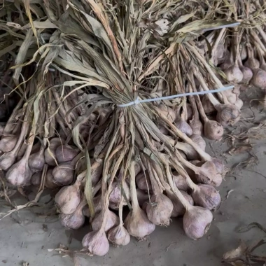 Combo 3 túi 500g Tỏi Băm Phi Chính Hiệu Anh Béo Nông Sản – Thơm Ngon Giòn, 230.000₫ 6
