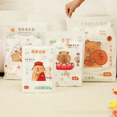 Combo 3 Túi Nhựa Đựng Quần Áo Giày SANRIO CAPYBARA - Túi Zip Du Lịch TUIDEP028