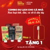 Combo 3 tuýp du lịch Nụ Vu Vi 10ml – kem dâu, kem dừa & kem trắng răng than hoạt tính, 90.000 VND