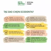 Combo 3 tuýp Kem đánh răng Ecodenta bảo vệ nướu tinh dầu tràm trà 75ml - Chỉ 689.000₫ 8