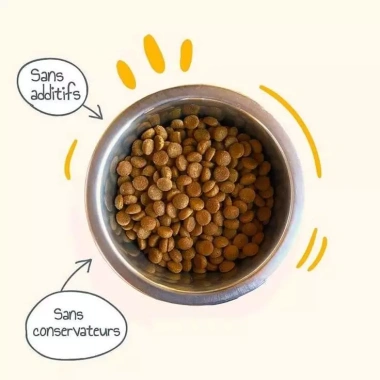 Combo 3+1 Đồ hạt Woofy 500g cho chó trưởng thành - Chất lượng 10/10, Giá chỉ 84.000₫ 2 Combo 3+1 Đồ hạt Woofy 500g cho chó trưởng thành - Chất lượng 10/10, Giá chỉ 84.000₫ 2