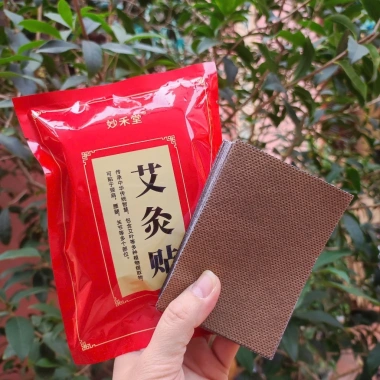 Combo 4 gói 200 miếng Cao dán ngải cứu giảm đau vai gáy, lưng, bắp tay chân - Giá 31.899₫
