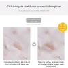 Combo 4 quần chip bé gái cotton kháng khuẩn thoáng mát 2-15 tuổi Uni Baby 150k 6