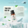 Combo 4 Tặng 1 Tinh Dầu Thiên Nhiên Phòng Khách: Hương Thảo Bạc Hà Vỏ Cam Ngọc Lan Tây Giá 899k 4