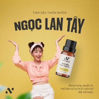 Combo 4 Tặng 1 Tinh Dầu Thiên Nhiên Phòng Khách: Hương Thảo Bạc Hà Vỏ Cam Ngọc Lan Tây Giá 899k 6 Combo 4 Tặng 1 Tinh Dầu Thiên Nhiên Phòng Khách: Hương Thảo Bạc Hà Vỏ Cam Ngọc Lan Tây Giá 899k 6