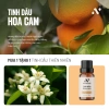 Combo 4 Tặng 1 Tinh Dầu Thiên Nhiên Phòng Ngủ – Oải Hương, Hoa Cam, Hoắc Hương, Ngọc Am – Chỉ 899.000₫ 4
