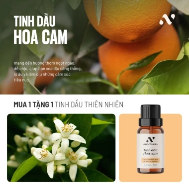 Combo 4 Tặng 1 Tinh Dầu Thiên Nhiên Phòng Ngủ – Oải Hương, Hoa Cam, Hoắc Hương, Ngọc Am – Chỉ 899.000₫ 4 Combo 4 Tặng 1 Tinh Dầu Thiên Nhiên Phòng Ngủ – Oải Hương, Hoa Cam, Hoắc Hương, Ngọc Am – Chỉ 899.000₫ 4
