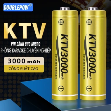 Combo 4 viên Pin sạc AA 3.000mAh Doublepow Vàng chính hãng, phù hợp Micro KTV & cửa ra vào, giảm 21% 2