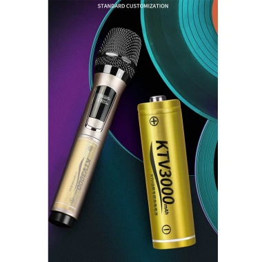 Combo 4 viên Pin sạc AA 3.000mAh Doublepow Vàng chính hãng, phù hợp Micro KTV & cửa ra vào, giảm 21% 7