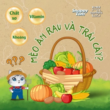 Combo 48 Gói Mix Pate SNAPPY TOM Trái Cây & Rau Củ 70g Dinh Dưỡng Tiện Lợi Giá Ưu Đãi 4