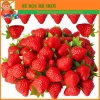 Combo 5-10 Dâu Tây Nhân Tạo Nhựa - Mô Hình Trái Dâu Tây Siêu Thực, Phụ Kiện Trang Trí Giá Chỉ 15.000 2