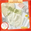 Combo 5-10 Quần Lót Nữ Cotton Cao Cấp Kháng Khuẩn, Mềm Mại, Viền Chun Nữ Tính – 60.000đ