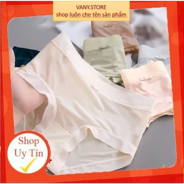 Combo 5-10 Quần Lót Nữ Lụa Băng Su Siêu Mỏng Thoáng Mát, Tôn Dáng - 67.619 VND