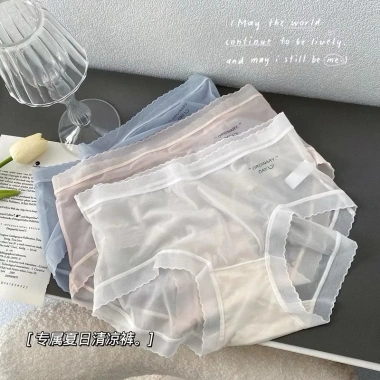 Combo 5-10 Quần Lót Nữ Tàng Hình Silk Comfort Mẫu A118 Giá Ưu Đãi 70K 2
