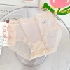 Combo 5-10 Quần Lót Nữ Tàng Hình Silk Comfort Mẫu A118 Giá Ưu Đãi 70K 4