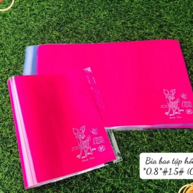 Combo 5 Bìa Bao Tập Vở Học Sinh 20.5cm - Kiếng Trong + Giấy Màu, Giá 15.000 VND 6