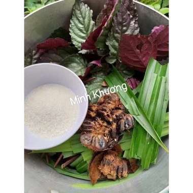 Combo 5 cây trà Dr Thanh bán tự cảnh Minh Khương - Giá ưu đãi 15.000 VND 4