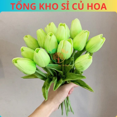 Combo 5 Củ Hoa Tulip Hà Lan - Củ to đẹp, bông to lâu tàn, chịu nhiệt tốt, dễ ươm trồng, giá 16.800 VND