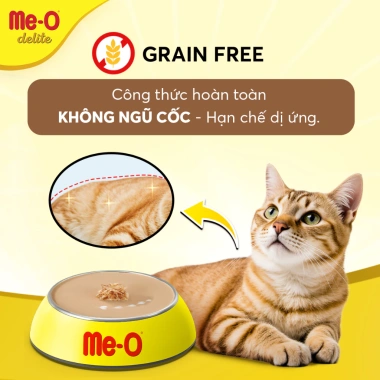 Combo 5 gói Me-O Delite Pate mèo cao cấp 70gr + Nón BH HĐ299k - Giá chỉ 103.500 VND 6 Combo 5 gói Me-O Delite Pate mèo cao cấp 70gr + Nón BH HĐ299k - Giá chỉ 103.500 VND 6