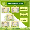 Combo 5 Hộp Bánh Pía Tân Huê Viên 19 Vị - Quà Hoa May Mắn Kim Sa Mini, Giá Ưu Đãi 1.110.000₫