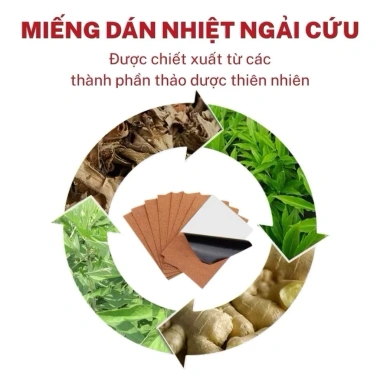 Combo 5 Hộp Cao Dán Ngải Cứu Giảm Đau Mỏi Xương Khớp Cổ Vai Gáy - 18.500₫
