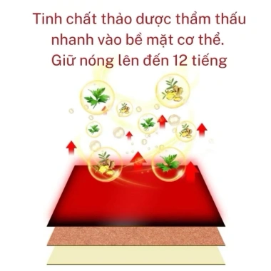 Combo 5 Hộp Cao Dán Ngải Cứu Giảm Đau Mỏi Xương Khớp Cổ Vai Gáy - 18.500₫