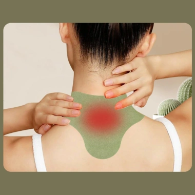 Combo 5 Hộp Dán Giảm Đau Cổ Vai Gáy Thảo Dược - Giảm Đau Tự Nhiên, Giá Chỉ 62.600đ 6