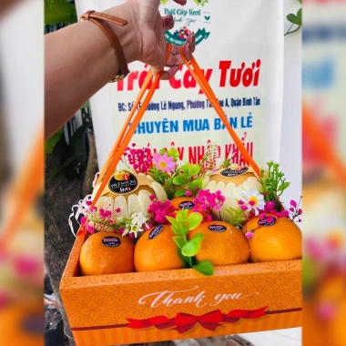 Combo 5 Hộp Giấy Mica Đựng Trái Cây & Hoa Quả - Quai Xách Lụa Cao Cấp, Quà Biếu Tặng Sang Trọng, Giá 145.000 VND