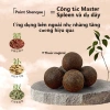 Combo 5 miếng dán thảo dược giảm béo, giảm đau bụng kinh - Hiệu quả nhanh, an toàn, hỗ trợ giảm cân, giá chỉ 33.417₫ 2