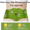 Combo 5 miếng dán thảo dược giảm béo, giảm đau bụng kinh - Hiệu quả nhanh, an toàn, hỗ trợ giảm cân, giá chỉ 33.417₫ 4